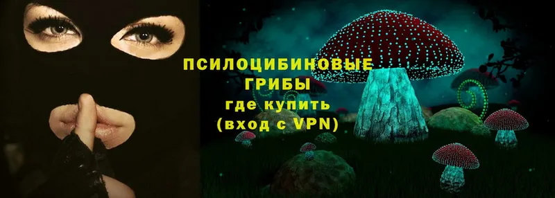 Галлюциногенные грибы Magic Shrooms  Малоархангельск 